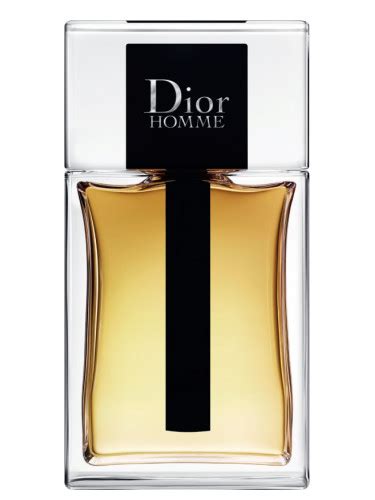 leore cohen of dior homme|Dior 2020 cologne.